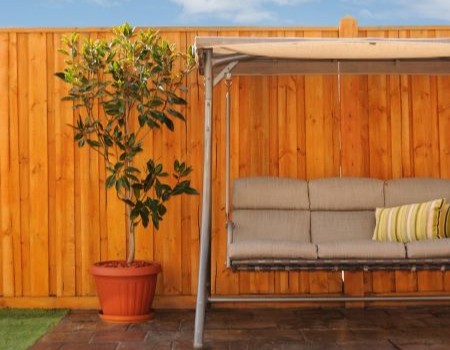 Technician soft washing a cedar privacy fence