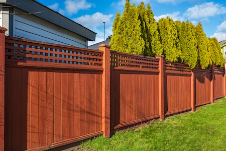 How can fence cleaning help extend the life of your wood or vinyl fence